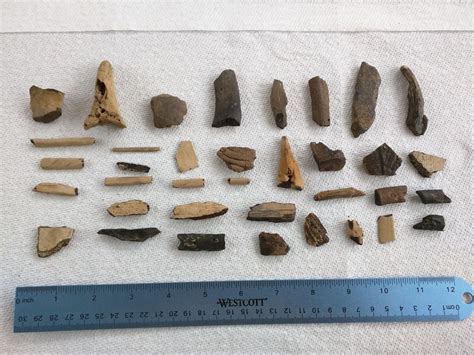 fossil fragments dst.